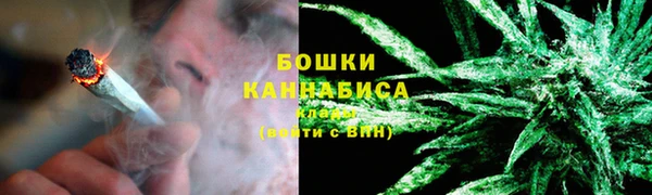 ГАЛЛЮЦИНОГЕННЫЕ ГРИБЫ Верхний Тагил